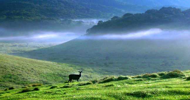 Horton Plains, Sri Lanka