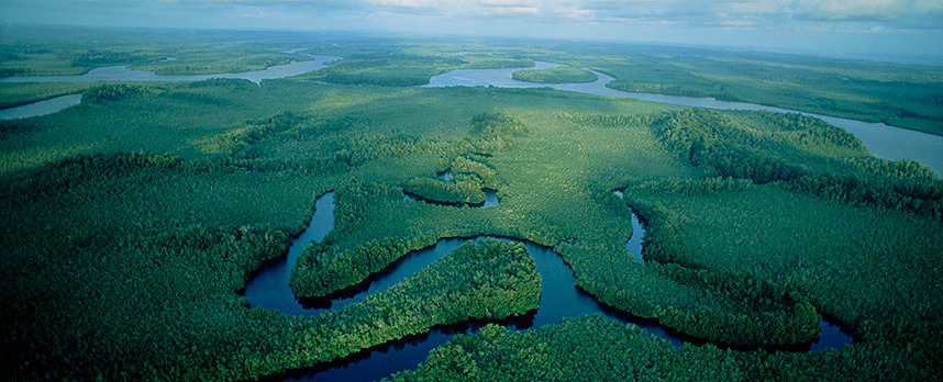 Congo River Basin