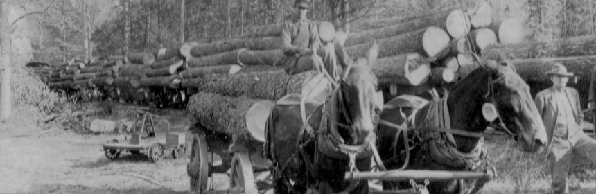 logging-wagon